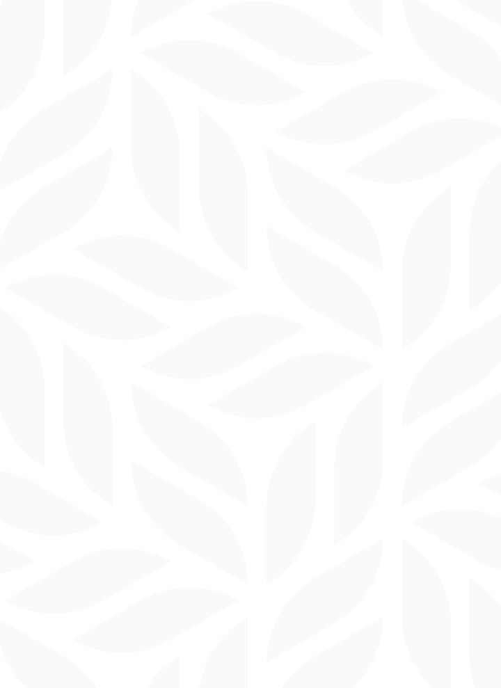 main_bg